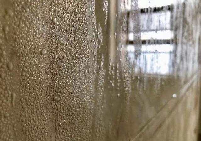 1711502732153951.jpg 11.jpg