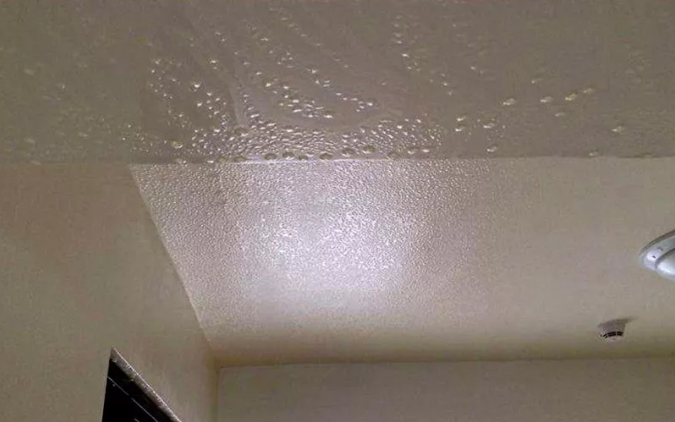 1711502757204451.png 1711502757204451.png